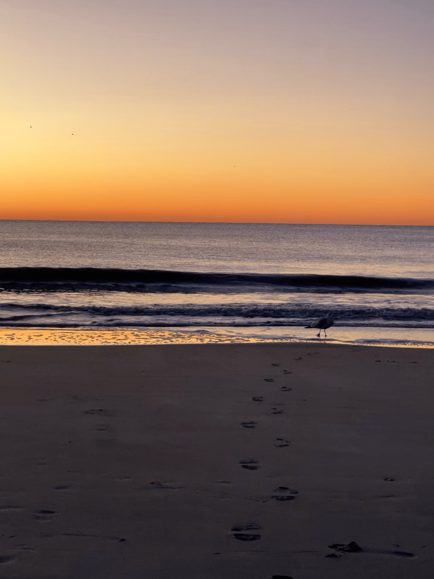 Morning view at Hilton head